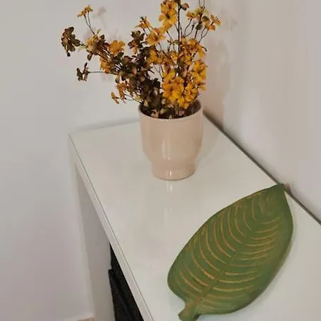 Modern דירה